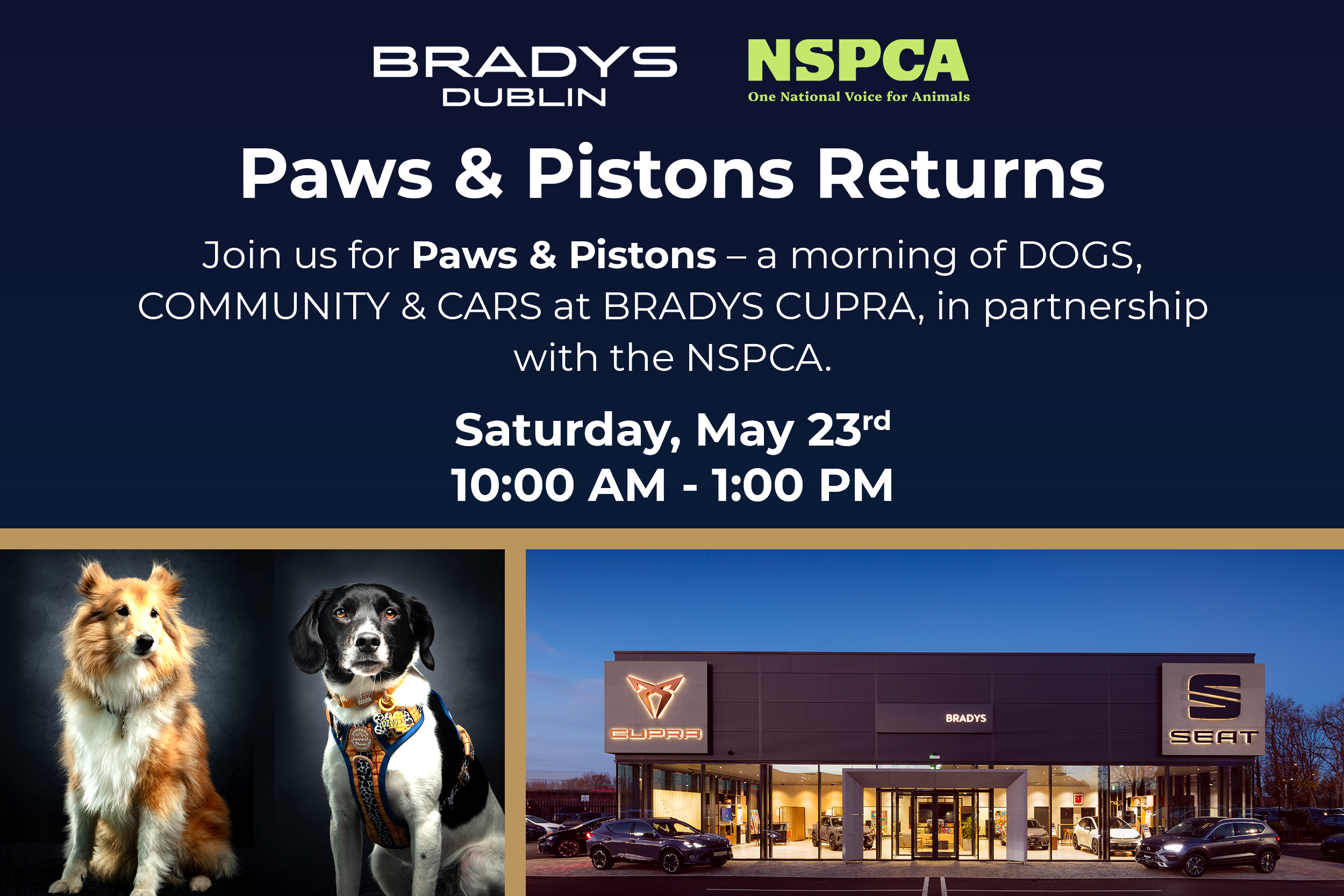 Paws & Pistons Returns to Bradys CUPRA&nbsp;This Summer